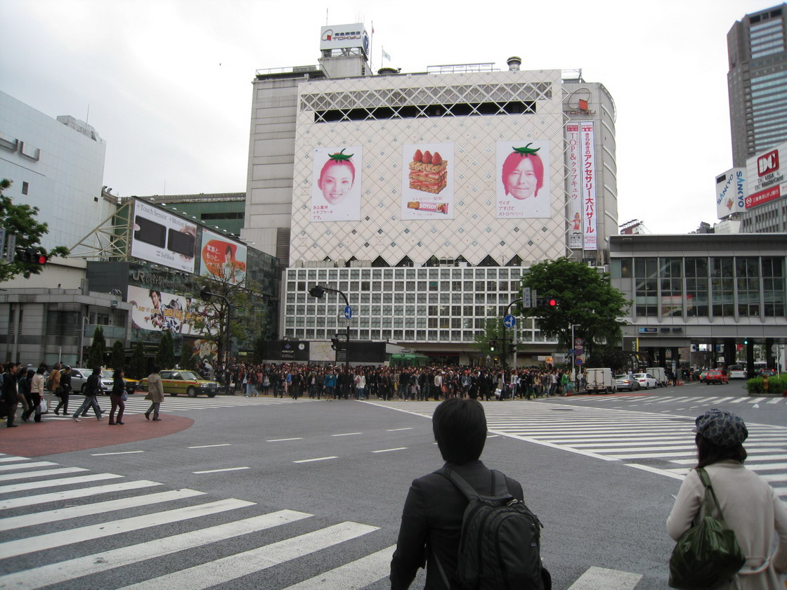 IMG_0495_resize.JPG