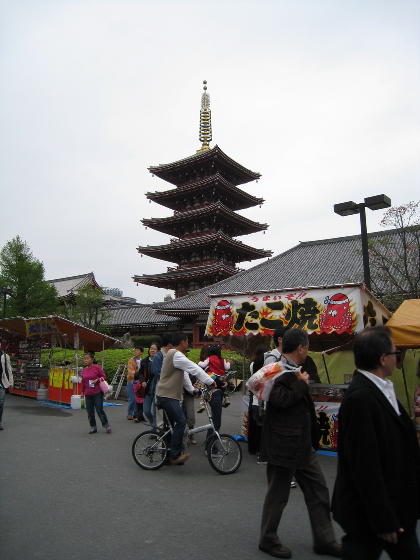 IMG_0533_resize.JPG