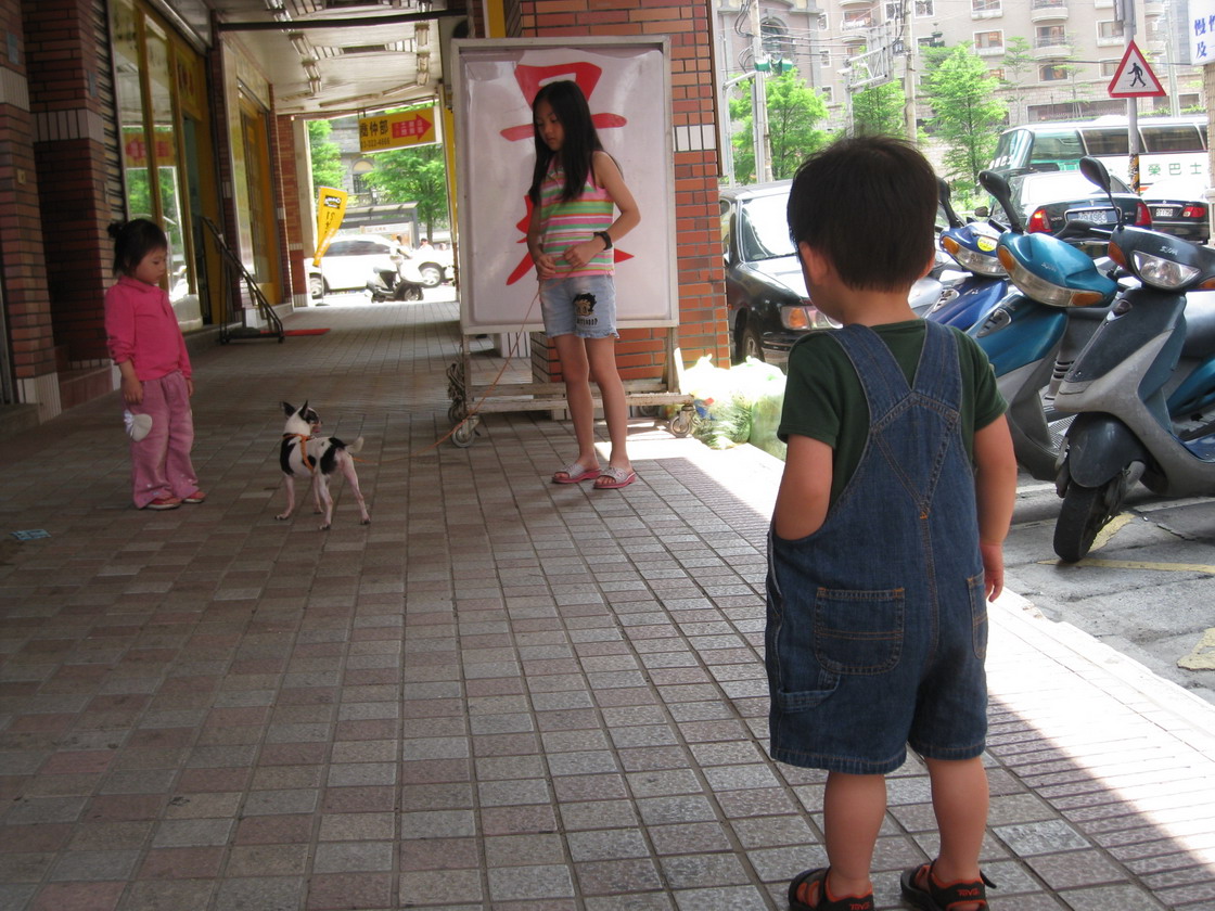 IMG_0883_resize.JPG