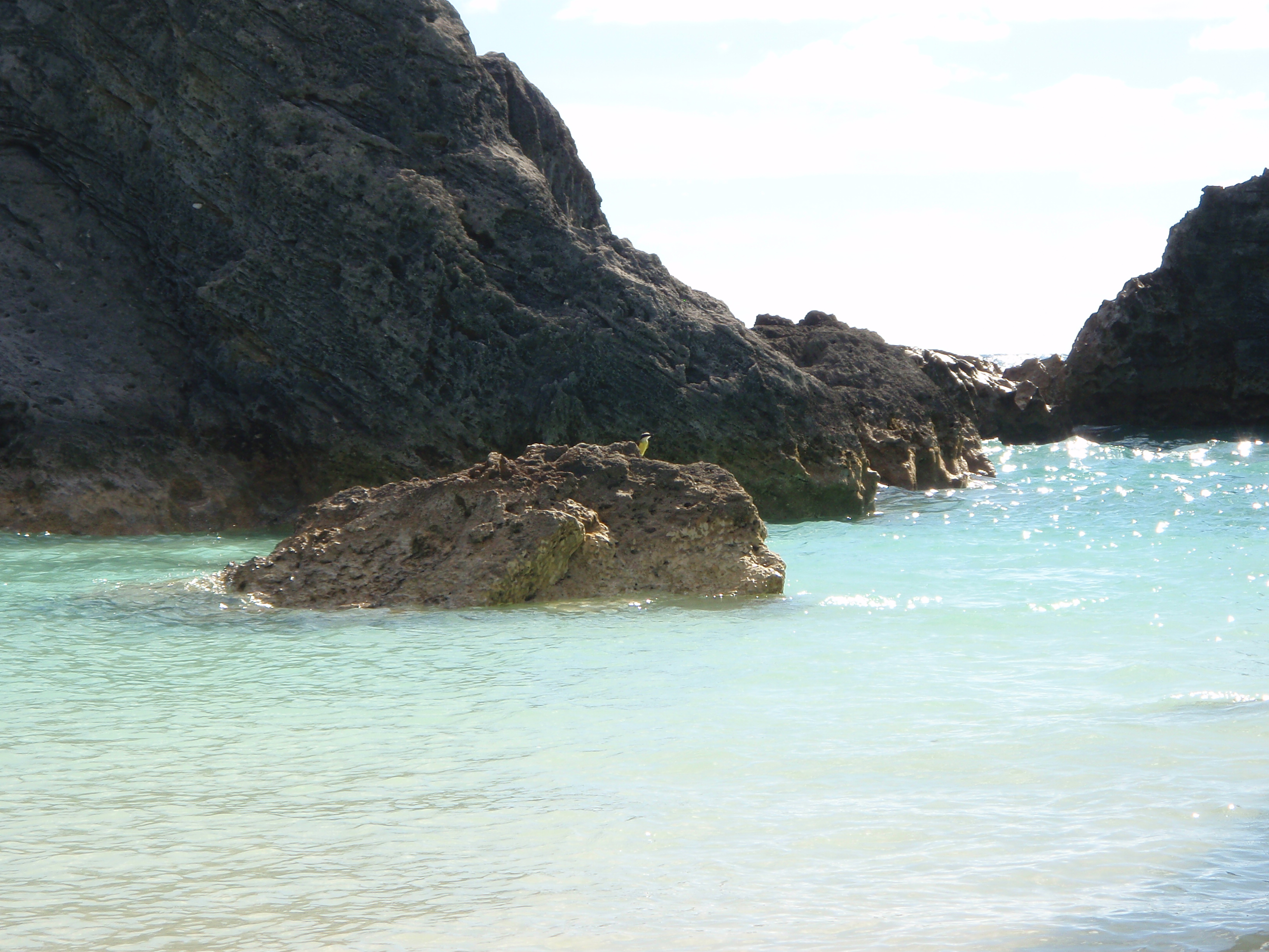 Near Horsehoe Bay