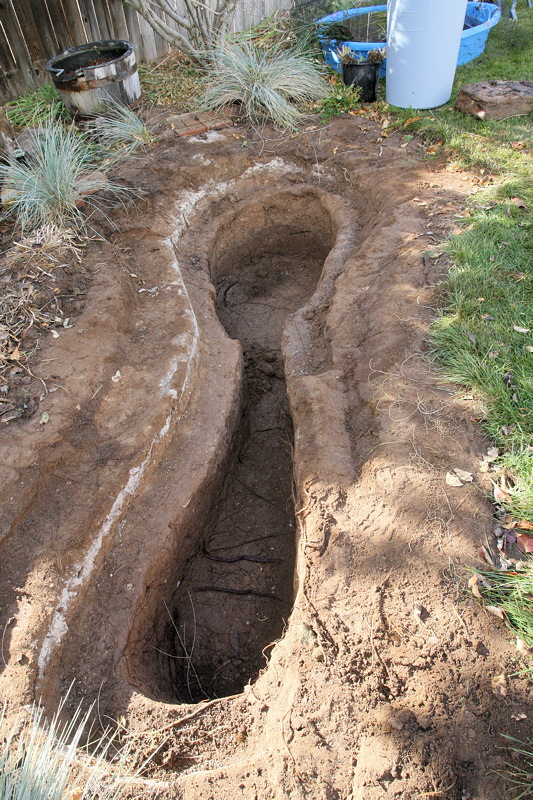 Old Pond Hole in the Ground (1433)