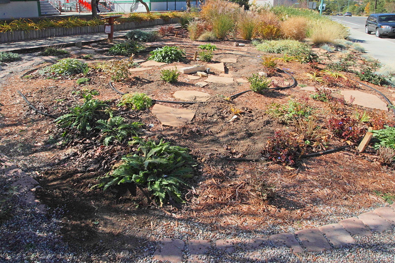 Oasis Garden (1906)