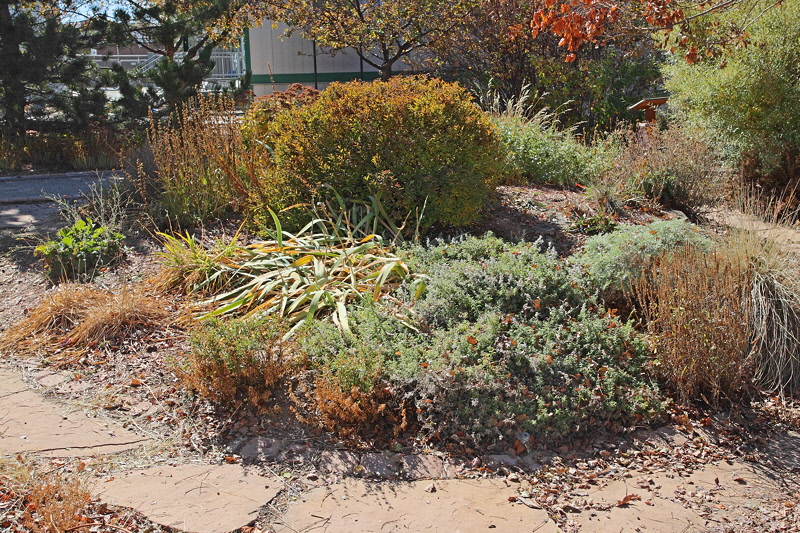 Perennial Garden (1901)