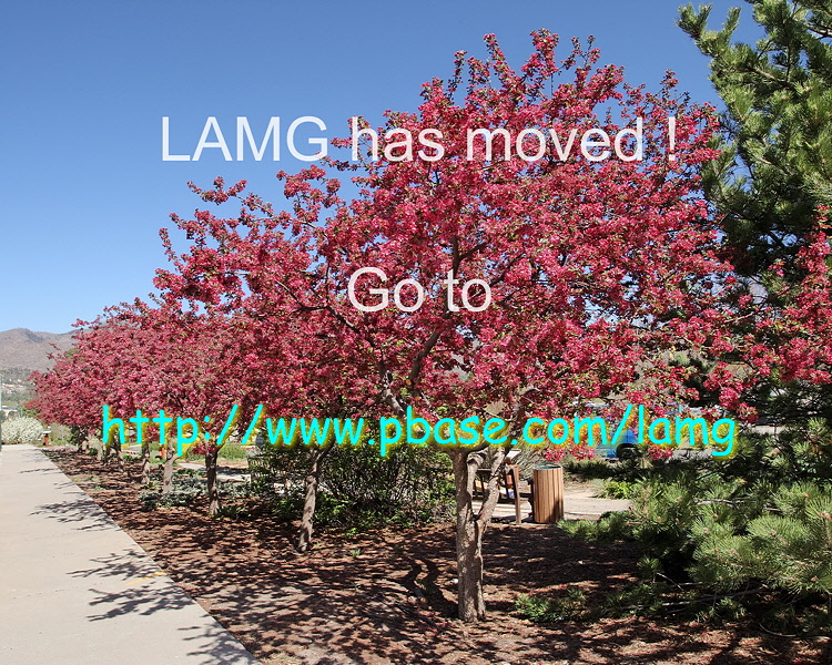 Los Alamos Master Gardeners