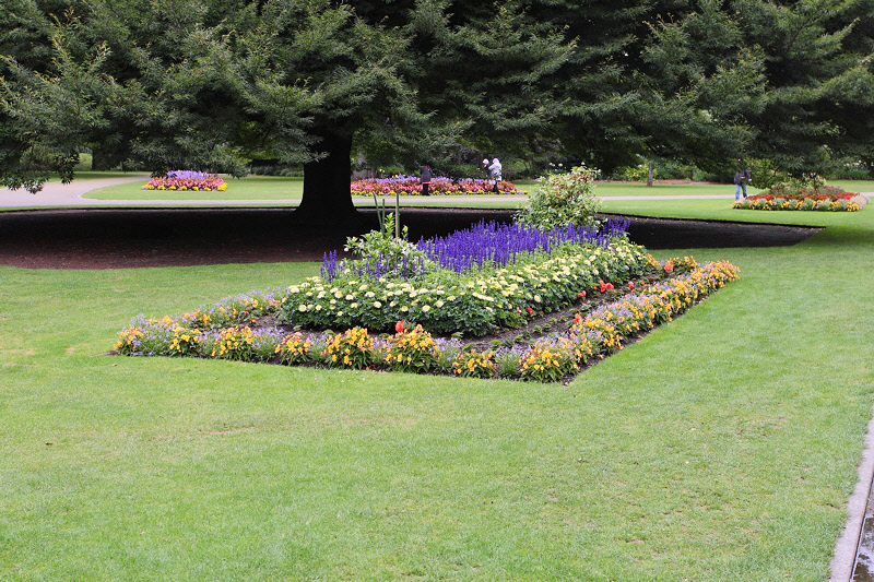 Flower Garden in Christchurch Botanic Gardens (6649)