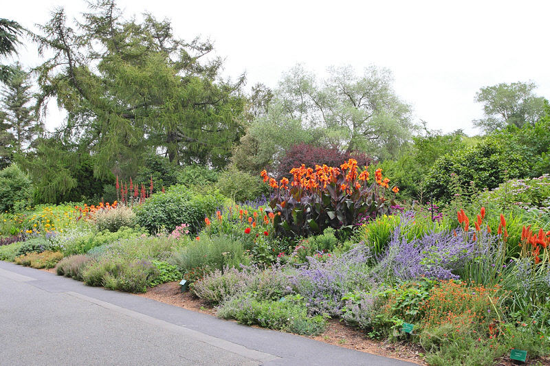 Christchurch Botanic Gardens (6651)