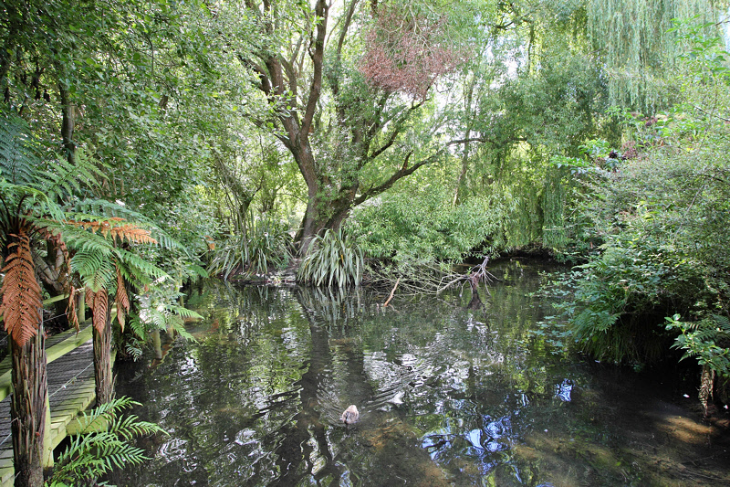 Willowbank Nature Preserve (6707)