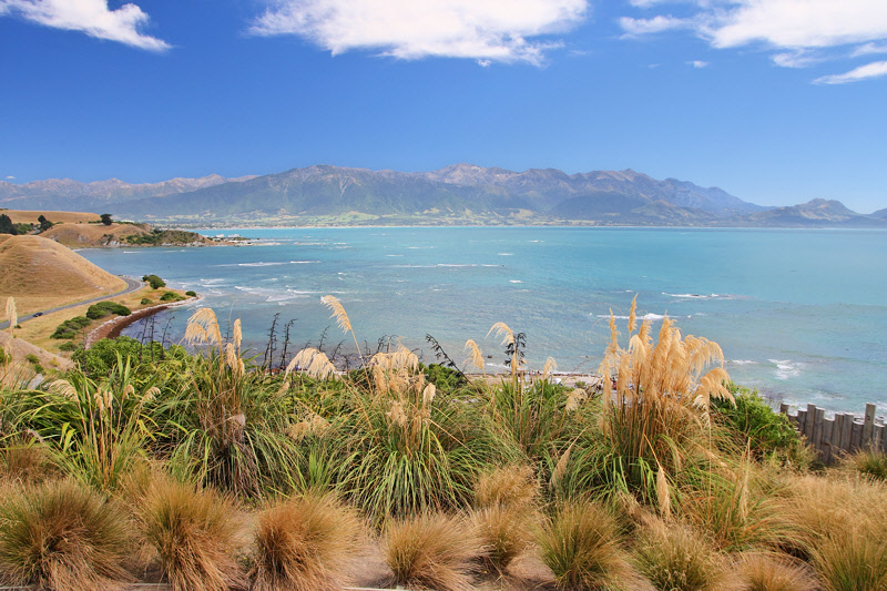 View from Kaikoura Peninsula (7546)