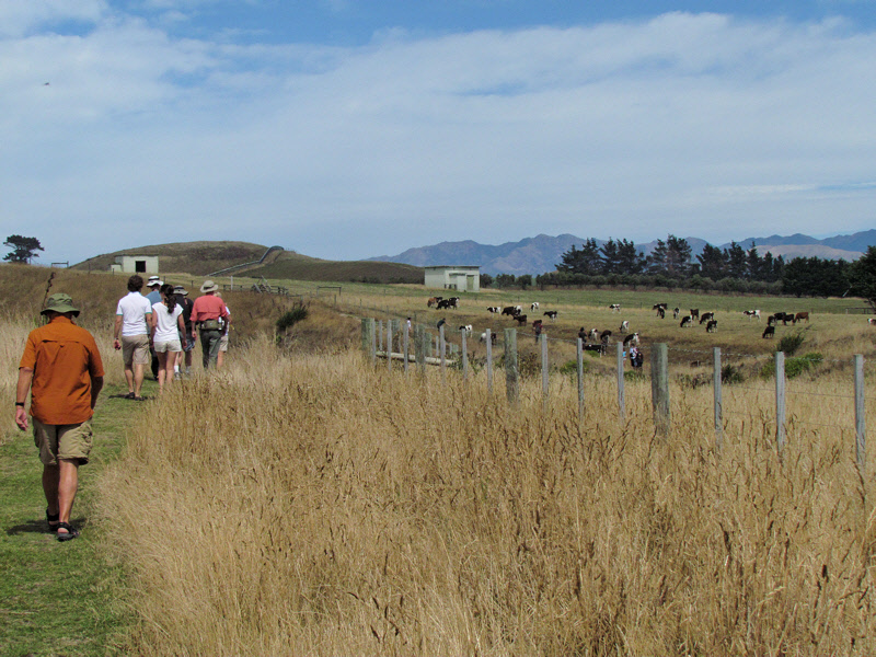 Kaikoura Peninsula Walkway (0181X)