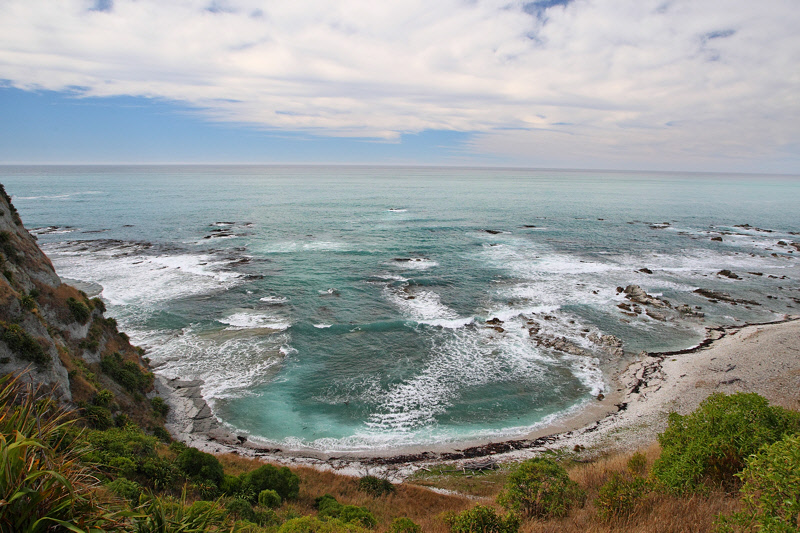 View of the Pacific from Kaikoura Peninsula Walkway (7549)