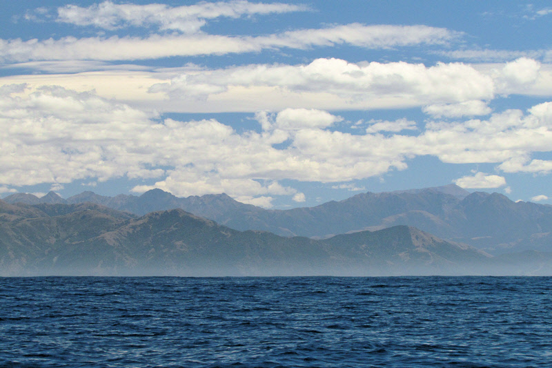 Out Looking for Birds (0204X)