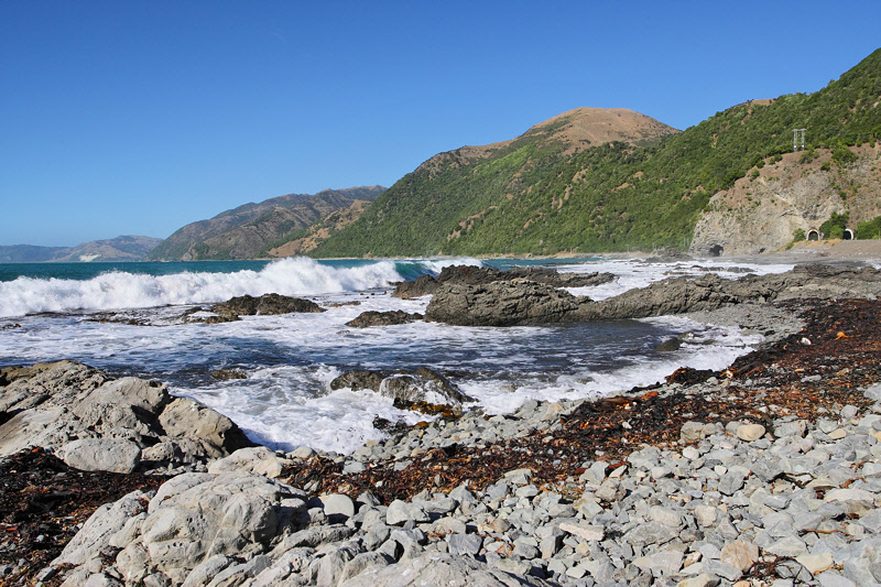 Shoreline south of Kaikoura (8073)