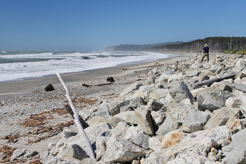 Coastline on the Tasman Sea (8490)
