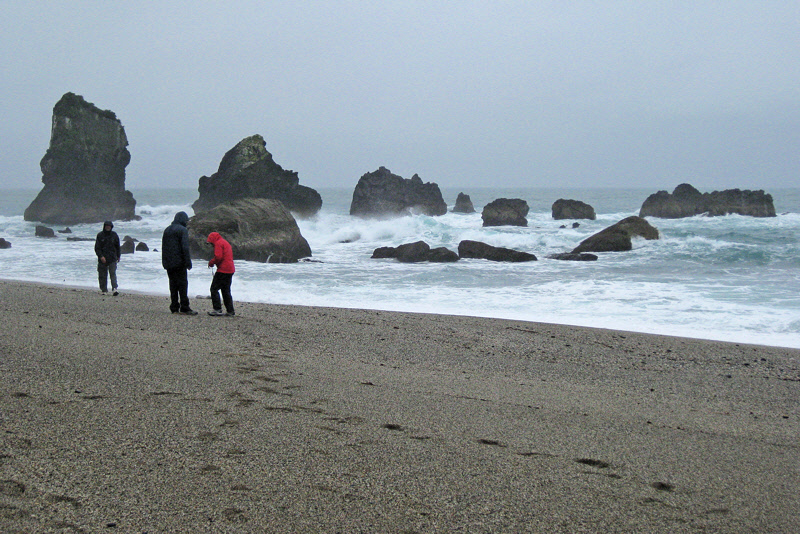 Volcanic Rocks at the Mouth of Moeraki River (1119L)