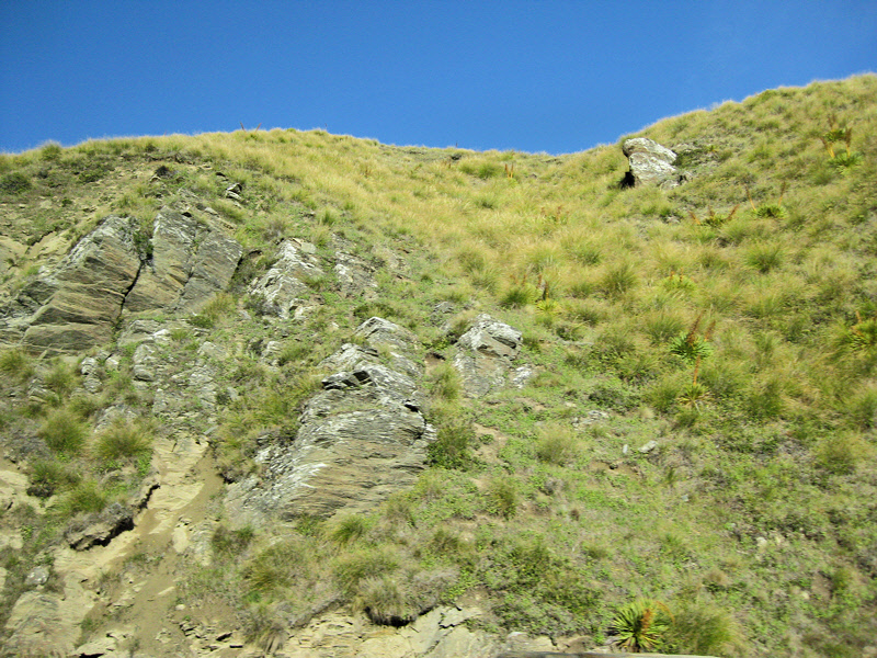 Tussock Country (1125L)