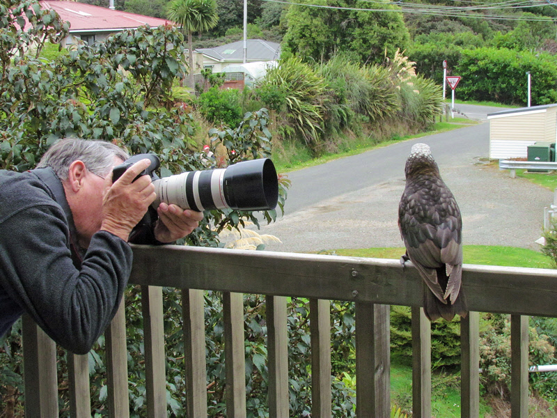 Bob and a Kaka on the Balcony (0750X)