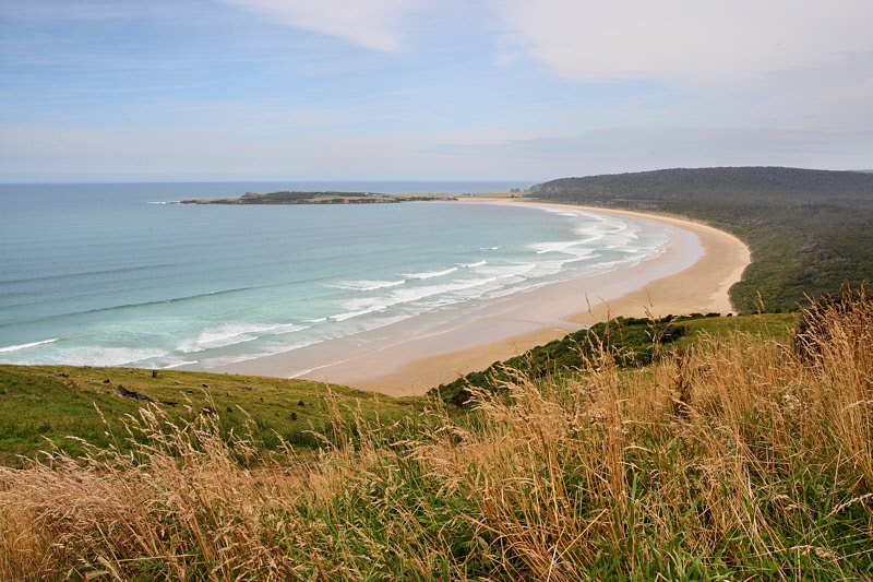 Tautuku Bay from Florence Hill Lookout (9918)