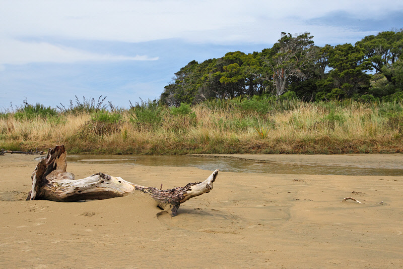 Near the Mouth of the Tahakopa River (9925)