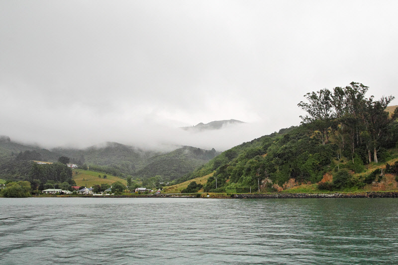 Leaving Otago Harbor (9941)