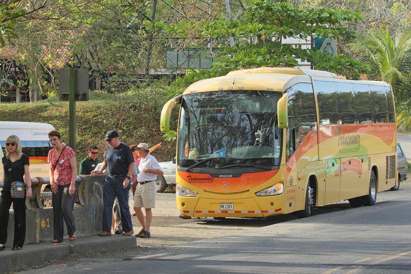 Leaving the Bus to Look at Alligators (9260)