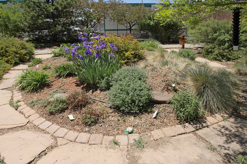 Perennial Garden -- AA48 (7390)