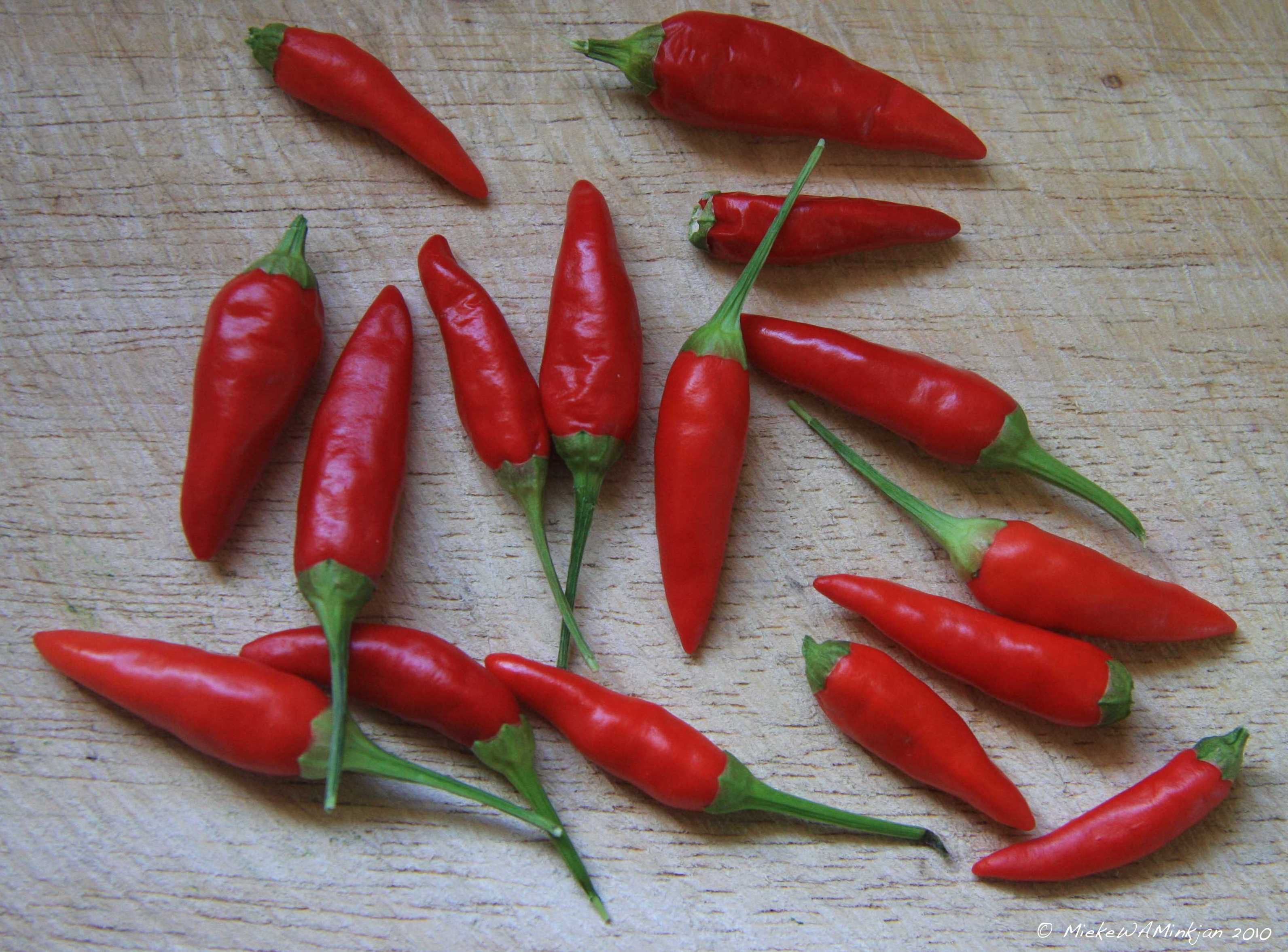 8 Sambal