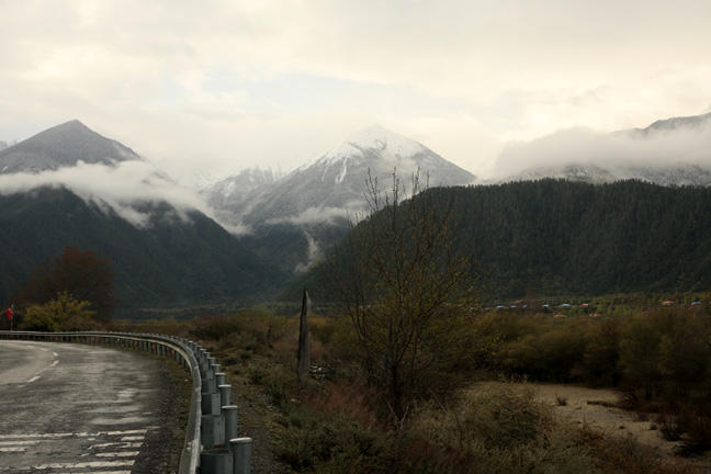 Random Photo on the road.jpg