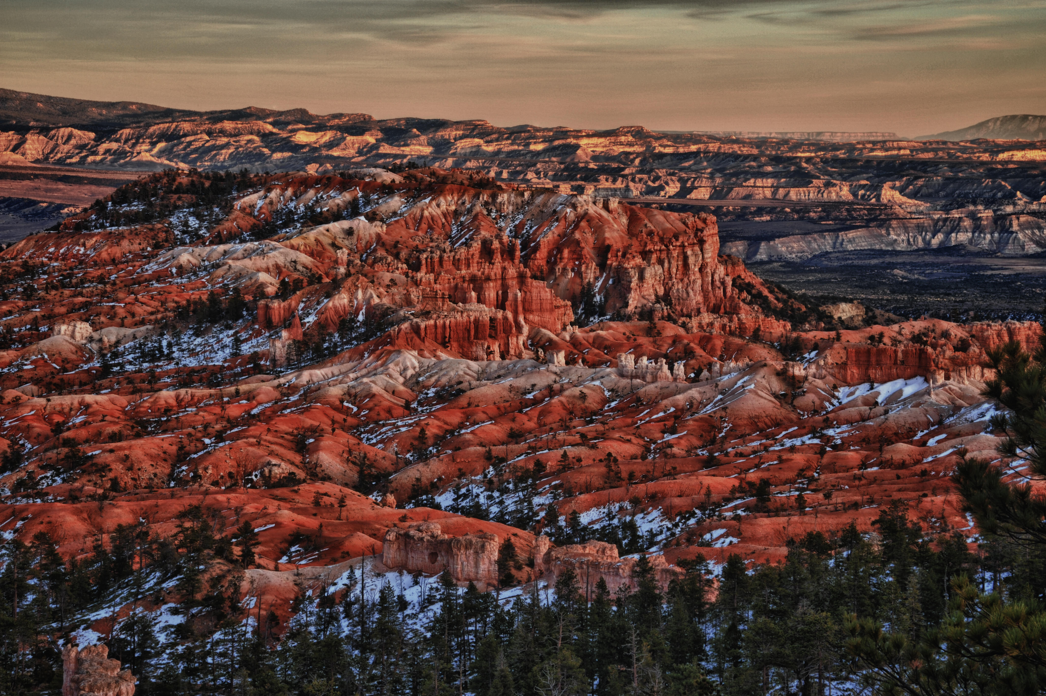 Bryce Canyon View