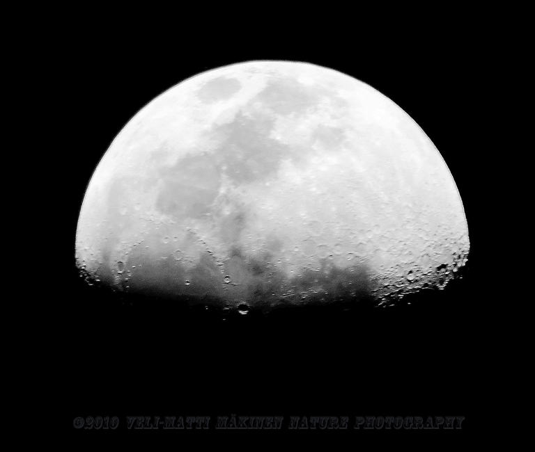 The Half Moon