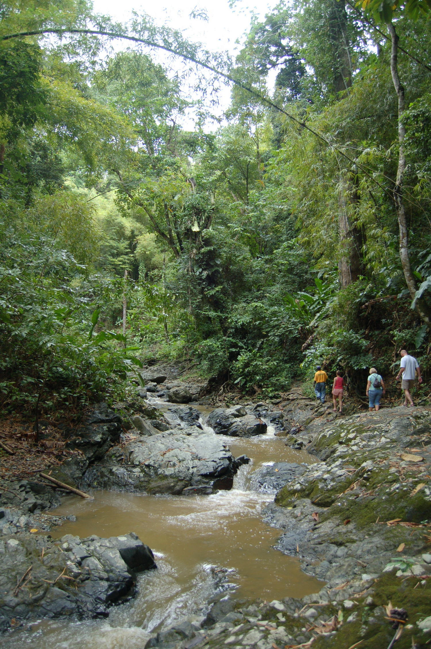 The trek to Argyle Waterfall