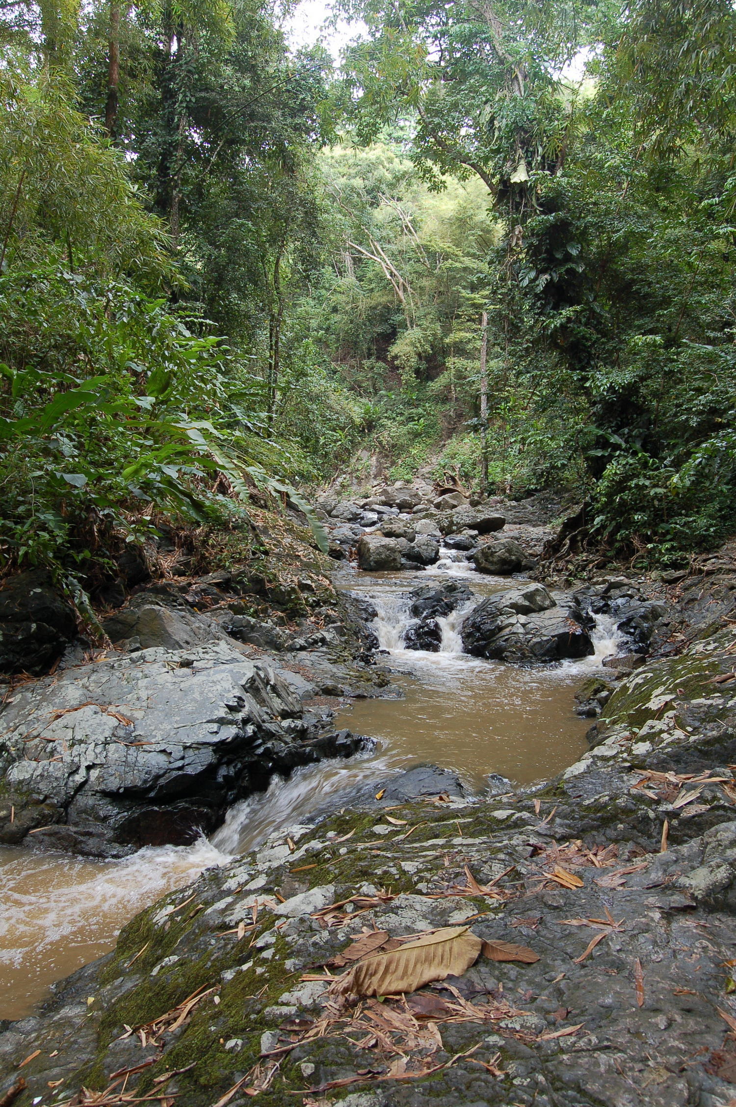 Argyle Waterfall