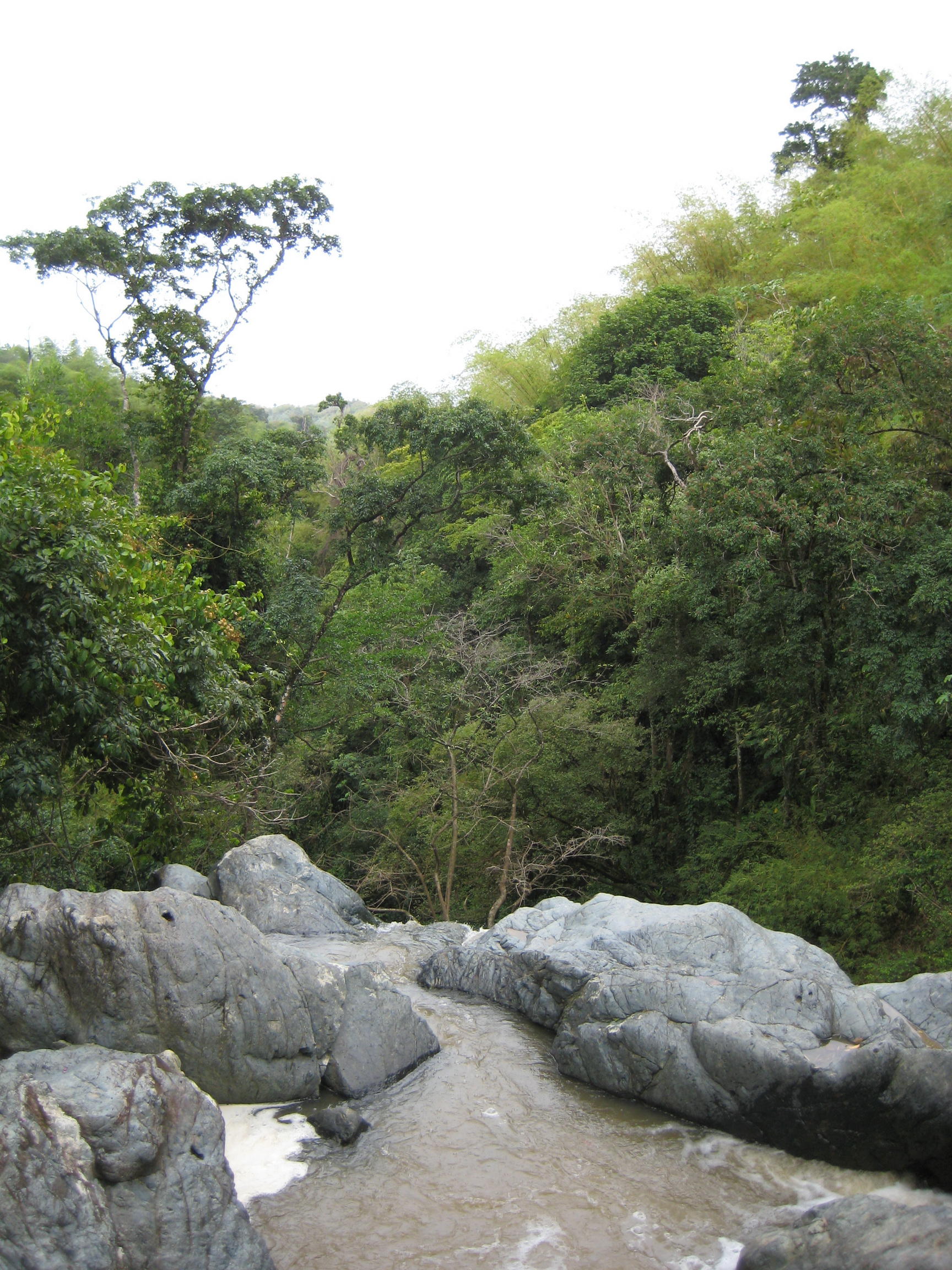Argyle Waterfall - View from the top