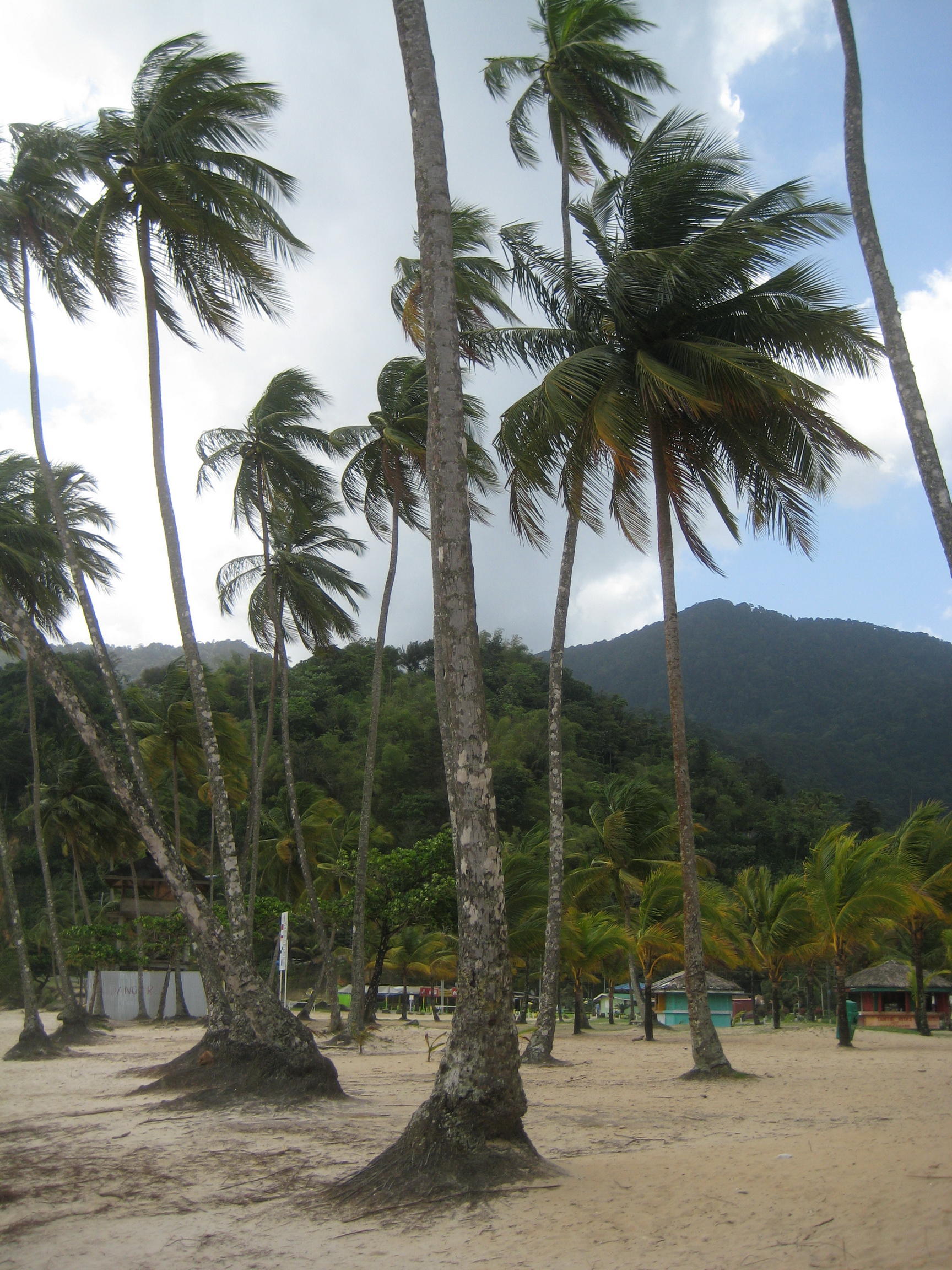 Maracas Beach