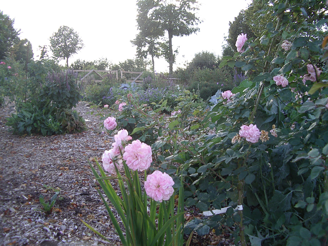 IMGP2208.JPG