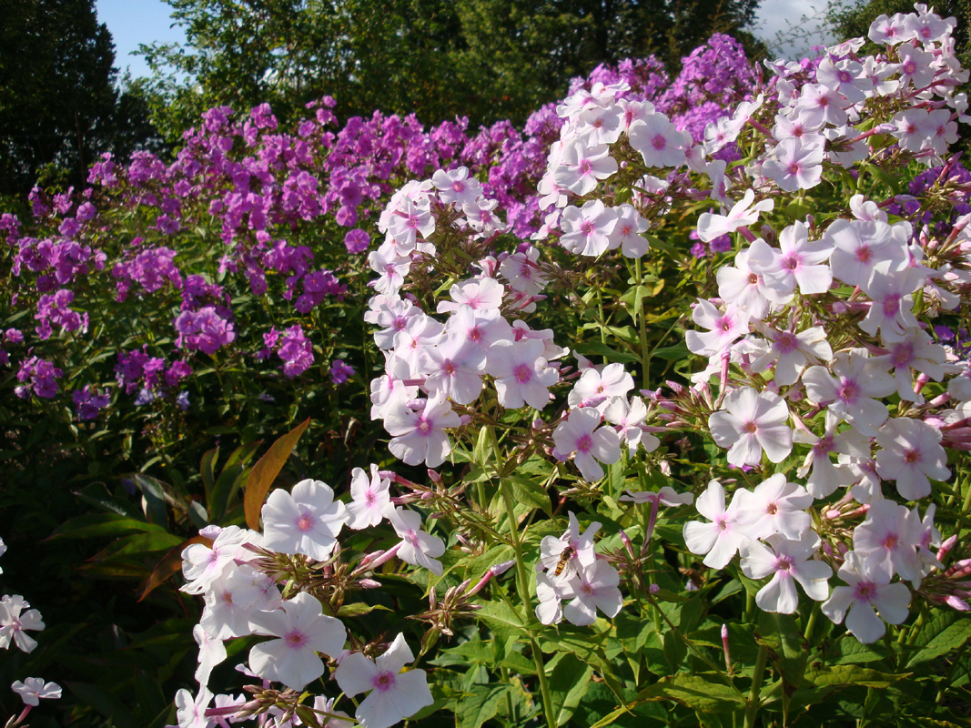 DSC09022.JPG