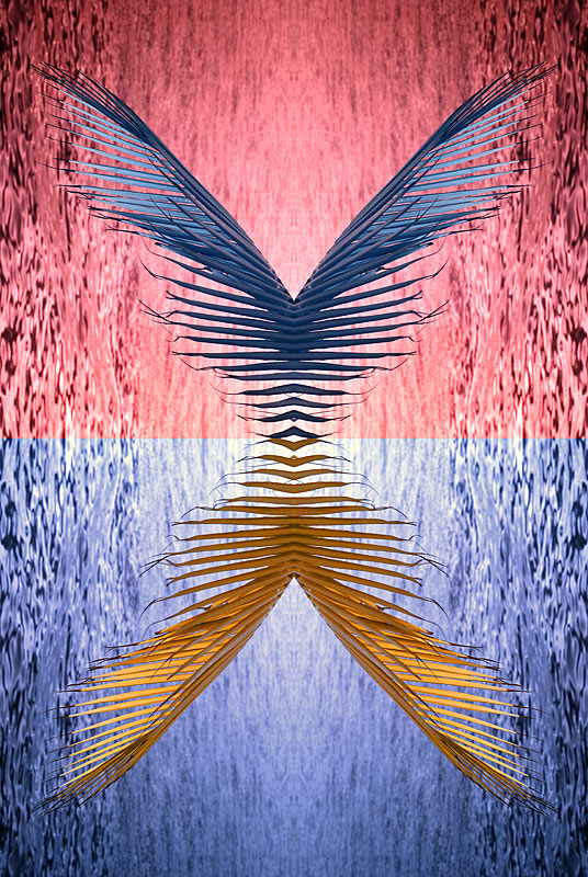 Wings across the water water