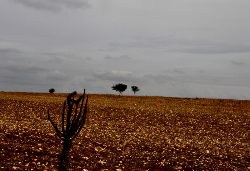 Landscape - South Italy
