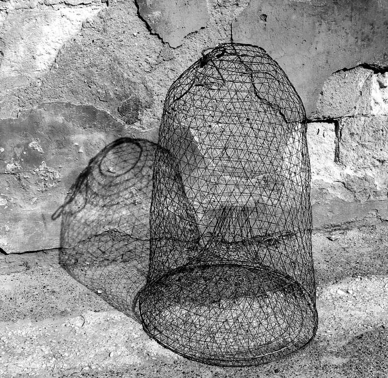 Fishpot