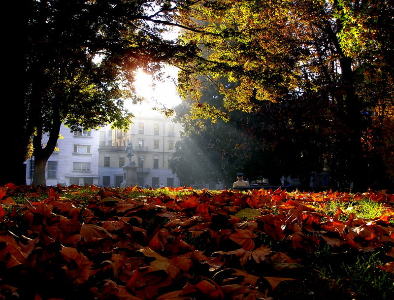 Walking my city - Turin