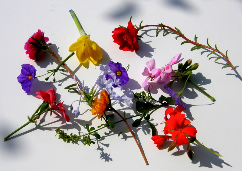 All flowers are not in one garland
