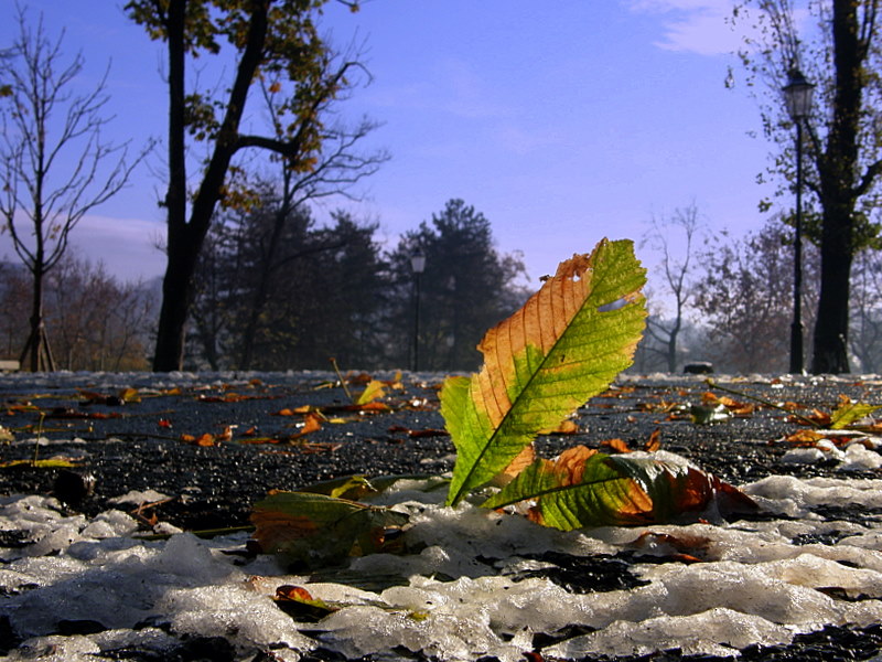 Turin - Italy -  Snow