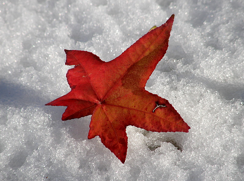 Turin - Italy -  Snow