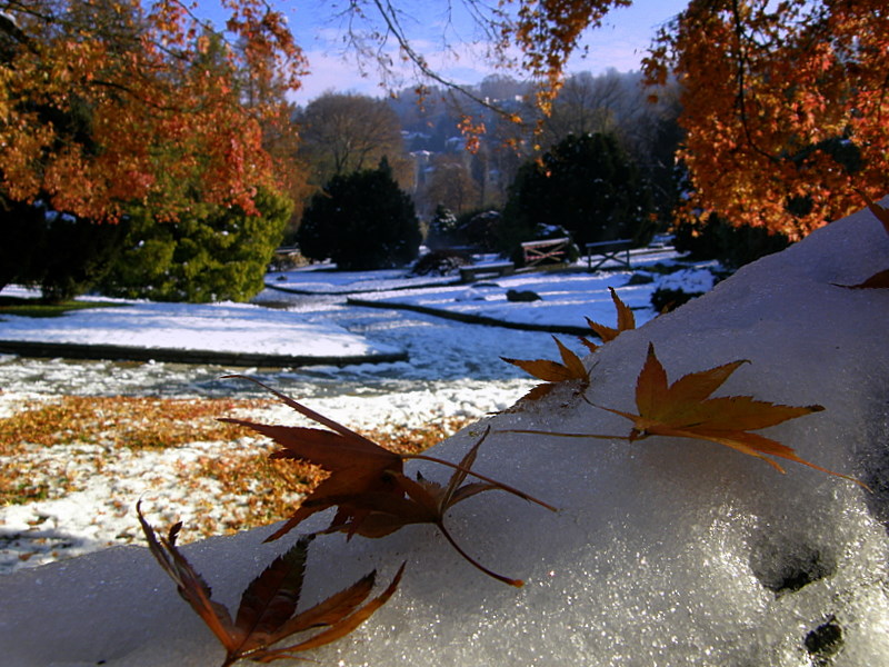 Turin -   Italy - First snow