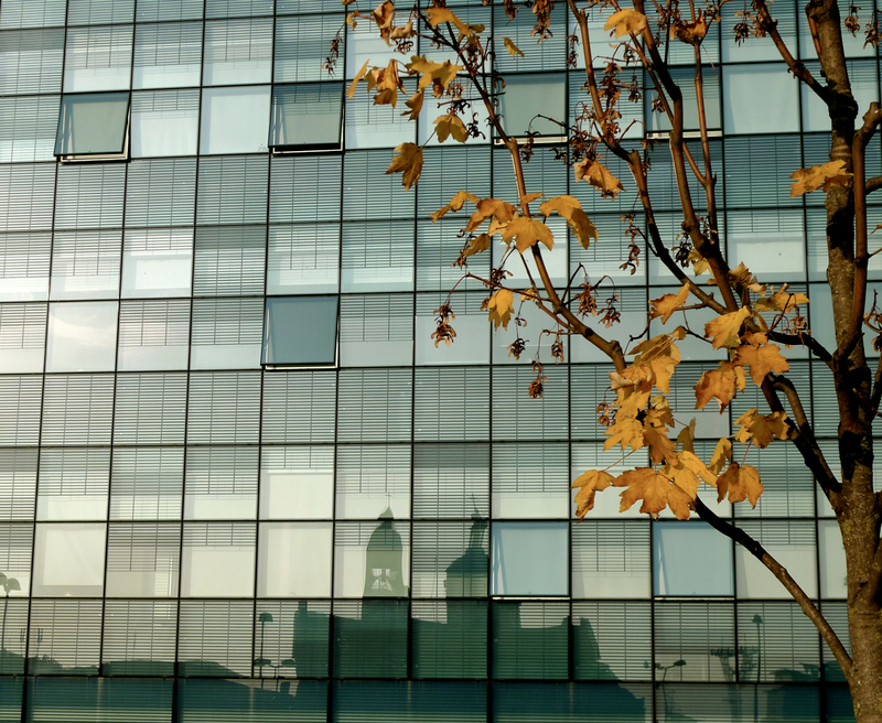 Urban reflection