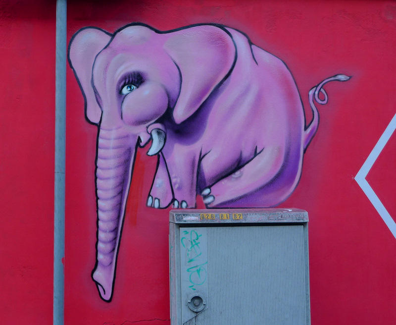 Elephant