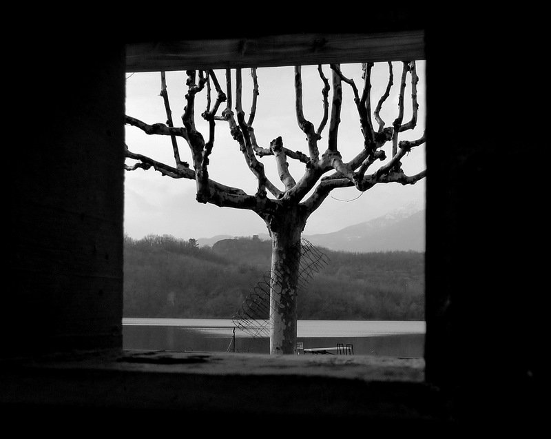 Landscape with tree