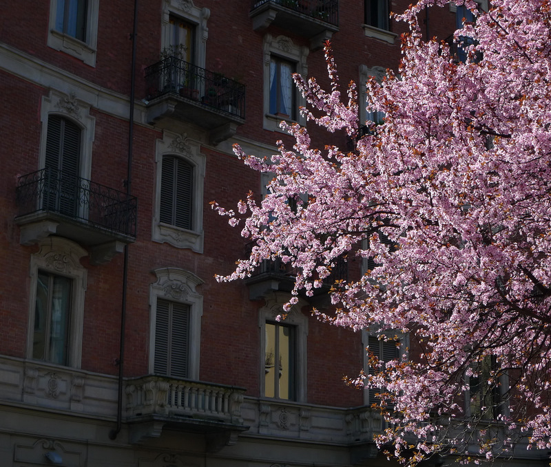 Spring 2010