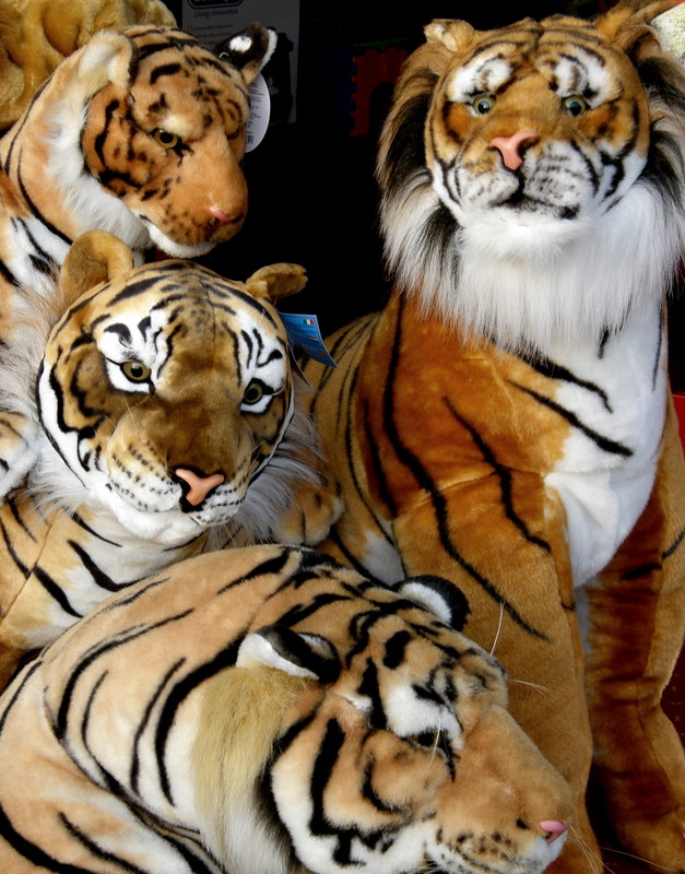 Colours of Luna Park