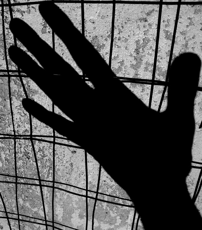 My  hand