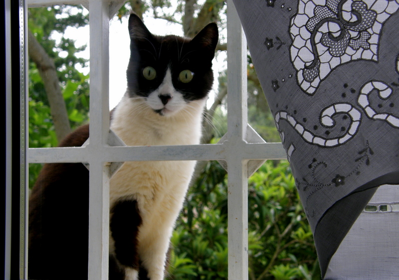 the other side of the window